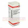 GENTIANA LUTEA D 1 Dilution 20 ml | ГЕНТИАНА ЛУТЕА раствор 20 мл | DHU