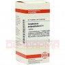 GNAPHALIUM POLYCEPHALUM D 4 Tabletten 80 St | ГНАФАЛИУМ ПОЛИЦЕФАЛУМ таблетки 80 шт | DHU