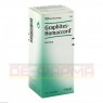 GRAPHITES HOMACCORD Tropfen 100 ml | ГРАФИТЕС ХОМАККОРД капли 100 мл | BIOLOGISCHE HEILMITTEL HEEL