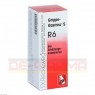 GRIPPE-GASTREU S R6 Mischung 50 ml | ГРИППЕ ГАСТРЕУ смесь 50 мл | DR.RECKEWEG