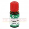 GUAJACUM LM 6 Dilution 10 ml | ГУАЯКУМ розчин 10 мл | ARCANA DR. SEWERIN