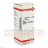 HAMAMELIS D 12 Dilution 50 ml | ХАМАМЕЛИС раствор 50 мл | DHU