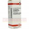 HARPAGOPHYTUM PROCUMBENS C 30 Dilution 20 ml | ХАРПАГОФИТУМ ПРОКУМБЕНС раствор 20 мл | DHU