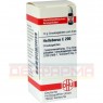 HELLEBORUS C 200 Globuli 10 g | ГЕЛЛЕБОРУС глобули 10 г | DHU