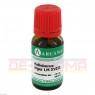 HELLEBORUS NIGER LM 18 Dilution 10 ml | ГЕЛЛЕБОРУС НИГЕР раствор 10 мл | ARCANA DR. SEWERIN