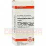 HELODERMA horridum D 12 Tabletten 80 St | ГЕЛОДЕРМА таблетки 80 шт | DHU