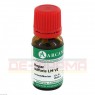 HEPAR SULFURIS LM 6 Dilution 10 ml | ГЕПАР СУЛЬФУРІС розчин 10 мл | ARCANA DR. SEWERIN