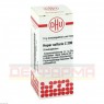 HEPAR SULFURIS C 200 Globuli 10 g | ГЕПАР СУЛЬФУРИС глобули 10 г | DHU