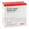 HERPES SIMPLEX Nosode Injeel Ampullen 100 St | ГЕРПЕС СИМПЛЕКС ампули 100 шт | BIOLOGISCHE HEILMITTEL HEEL