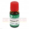 HYPERICUM LM 6 Dilution 10 ml | ГИПЕРИКУМ раствор 10 мл | ARCANA DR. SEWERIN