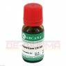 HYPERICUM LM 12 Dilution 10 ml | ГИПЕРИКУМ раствор 10 мл | ARCANA DR. SEWERIN