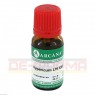 HYPERICUM LM 30 Dilution 10 ml | ГИПЕРИКУМ раствор 10 мл | ARCANA DR. SEWERIN