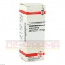 KALIUM BICHROMICUM D 4 Dilution 20 ml | КАЛИУМ БИХРОМИКУМ раствор 20 мл | DHU