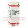 KALIUM BICHROMICUM D 6 Dilution 20 ml | КАЛИУМ БИХРОМИКУМ раствор 20 мл | DHU