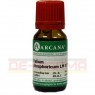 KALIUM PHOSPHORICUM LM 18 Dilution 10 ml | КАЛІУМ ФОСФОРИКУМ розчин 10 мл | ARCANA DR. SEWERIN