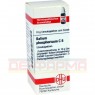 KALIUM PHOSPHORICUM C 6 Globuli 10 g | КАЛИУМ ФОСФОРИКУМ глобули 10 г | DHU