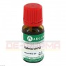 KALMIA LM 6 Dilution 10 ml | КАЛЬМИЯ раствор 10 мл | ARCANA DR. SEWERIN