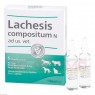 LACHESIS COMPOSITUM N ad us.vet.Ampullen 5 St | ЛАХЕЗИС КОМПОЗИТУМ ампулы 5 шт | BIOLOGISCHE HEILMITTEL HEEL