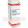 LACHNANTHES tinctoria D 4 Dilution 20 ml | ЛАХНАНТЕС розчин 20 мл | DHU