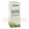 LAUBENDERS Belladonna compositum Tropfen 100 ml | ЛАУБЕНДЕРС краплі 100 мл | KATTWIGA