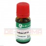 LEDUM LM 6 Dilution 10 ml | ЛЕДУМ раствор 10 мл | ARCANA DR. SEWERIN