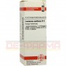 LEONURUS CARDIACA D 2 Dilution 20 ml | ЛЕОНУРУС КАРДИАКА раствор 20 мл | DHU