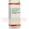 LEONURUS CARDIACA D 4 Dilution 20 ml | ЛЕОНУРУС КАРДИАКА раствор 20 мл | DHU