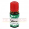 LILIUM TIGRINUM LM 6 Dilution 10 ml | ЛИЛИУМ ТИГРИНУМ раствор 10 мл | ARCANA DR. SEWERIN