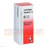 LUMBAGO-GASTREU S R11 Mischung 22 ml | ЛЮМБАГО ГАСТРЕУ смесь 22 мл | DR.RECKEWEG