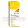 LYMPHDIARAL BASISTROPFEN SL 100 ml | ЛИМФДИАРАЛ БАЗИСТРОПФЕН капли 100 мл | PASCOE PHARMAZEUTISCHE PRÄPARATE