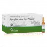 LYMPHOCAUSAL Inj. Pflüger Ampullen 100x2 ml | ЛИМФОКАУЗАЛ ампулы 100x2 мл | HOMÖOPATHISCHES LABORATORIUM ALEXANDER PFLÜGER