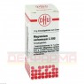 MAGNESIUM CARBONICUM C 200 Globuli 10 g | МАГНЕЗІУМ КАРБОНІКУМ глобули 10 г | DHU