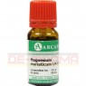 MAGNESIUM MURIATICUM LM 18 Dilution 10 ml | МАГНЕЗИУМ МУРИАТИКУМ раствор 10 мл | ARCANA DR. SEWERIN