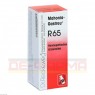 MAHONIA-Gastreu R65 Mischung 50 ml | МАХОНІЯ суміш 50 мл | DR.RECKEWEG