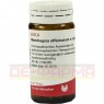 MANDRAGORA OFFICINARIUM e radice D 6 Globuli 20 g | МАНДРАГОРА ОФФИЦИНАРИУМ глобули 20 г | WALA HEILMITTEL