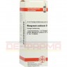 MANGANUM ACETICUM D 6 Dilution 20 ml | МАНГАНУМ АЦЕТИКУМ раствор 20 мл | DHU