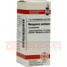 MANGANUM ACETICUM C 30 Globuli 10 g | МАНГАНУМ АЦЕТИКУМ глобули 10 г | DHU