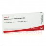 MEMBRANA sinus maxillaris GL D 6 Ampullen 10x1 ml | МЕМБРАНА ампули 10x1 мл | WALA HEILMITTEL