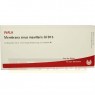 MEMBRANA sinus maxillaris GL D 15 Ampullen 10x1 ml | МЕМБРАНА ампулы 10x1 мл | WALA HEILMITTEL