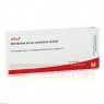 MEMBRANA sinus maxillaris GL D 30 Ampullen 10x1 ml | МЕМБРАНА ампули 10x1 мл | WALA HEILMITTEL