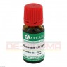 MEZEREUM LM 18 Dilution 10 ml | МЕЗЕРЕУМ раствор 10 мл | ARCANA DR. SEWERIN