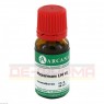 MEZEREUM LM 6 Dilution 10 ml | МЕЗЕРЕУМ раствор 10 мл | ARCANA DR. SEWERIN