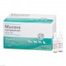 MUCOSA compositum ad us.vet.Ampullen 50x5 ml | МУКОЗА ампулы 50x5 мл | BIOLOGISCHE HEILMITTEL HEEL