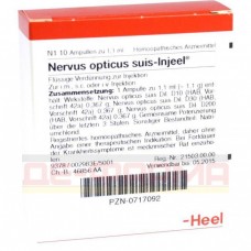 Нервус Оптикус | Nervus Opticus