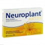 Нейроплант | Neuroplant | Звіробій