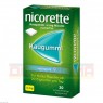 NICORETTE Kaugummi 4 mg whitemint 30 St | НІКОРЕТТЕ жувальна гумка 30 шт | JOHNSON & JOHNSON | Нікотин