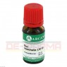 NUX MOSCHATA LM 6 Dilution 10 ml | НУКС МОШАТА раствор 10 мл | ARCANA DR. SEWERIN