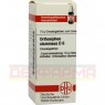 ORTHOSIPHON STAMINEUS D 6 Globuli 10 g | ОРТОСИФОН СТАМИНЕУС глобули 10 г | DHU