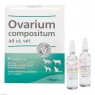 OVARIUM COMPOSITUM ad us.vet.Ampullen 5x5 ml | ОВАРІУМ КОМПОЗИТУМ ампули 5x5 мл | BIOLOGISCHE HEILMITTEL HEEL