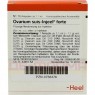 OVARIUM SUIS Injeel forte Ampullen 10 St | ОВАРИУМ СУИС ампулы 10 шт | BIOLOGISCHE HEILMITTEL HEEL